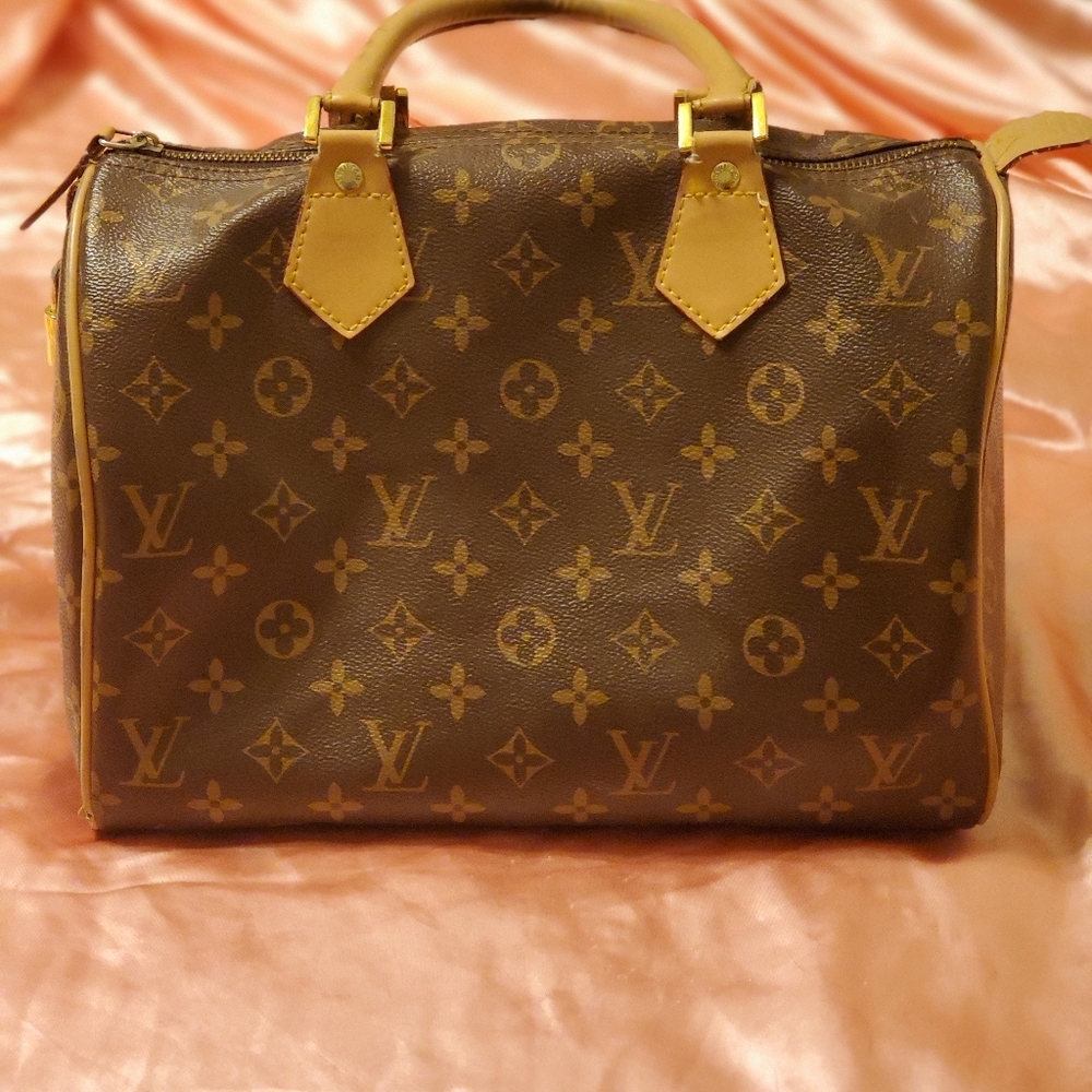 Louis Vuitton Purse